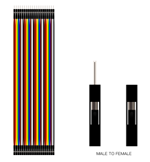 Ligne Dupont mâle à femelle 40 broches 30cm 24AWG